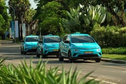 e-taxi-fleet-electric-mobility-green-gsm.webp